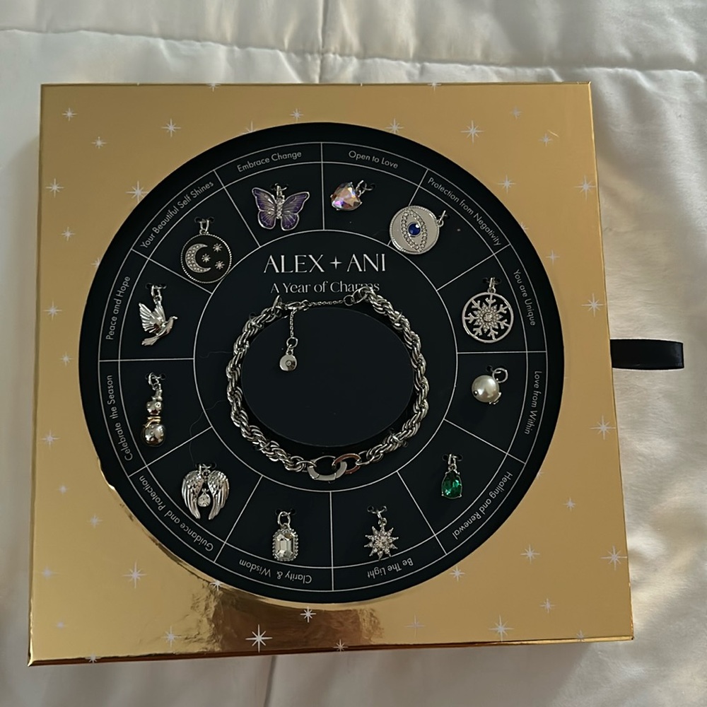 Alex and Ani a year of charms